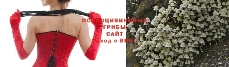 Псилоцибиновые грибы Magic Shrooms  Озёрск 